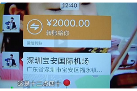 岷县为什么选择专业追讨公司来处理您的债务纠纷？